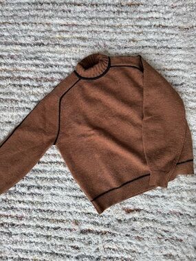 Brown Crewneck Sweater with Black Trim